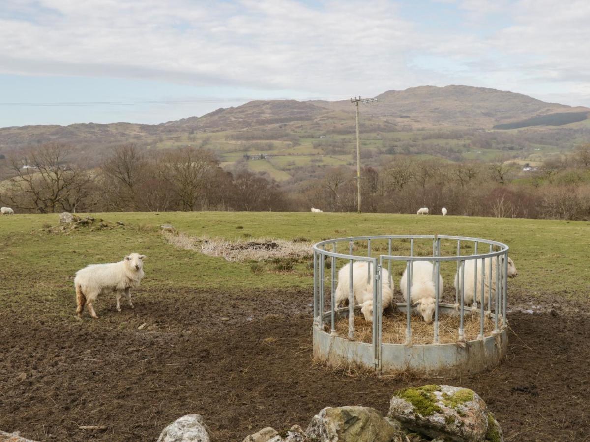 Brithgwm Canol Dolgellau Luaran gambar