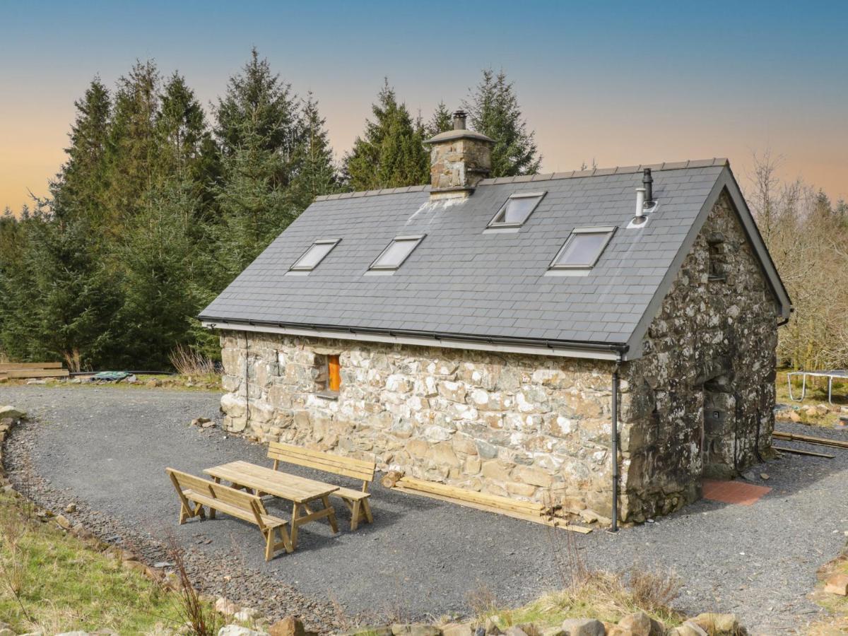 Brithgwm Canol Dolgellau Luaran gambar
