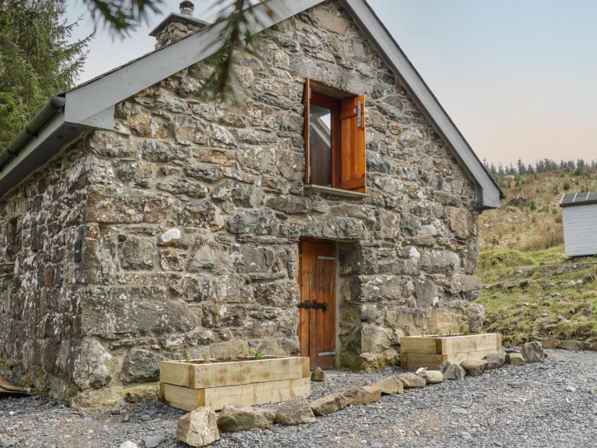 Brithgwm Canol Dolgellau Luaran gambar