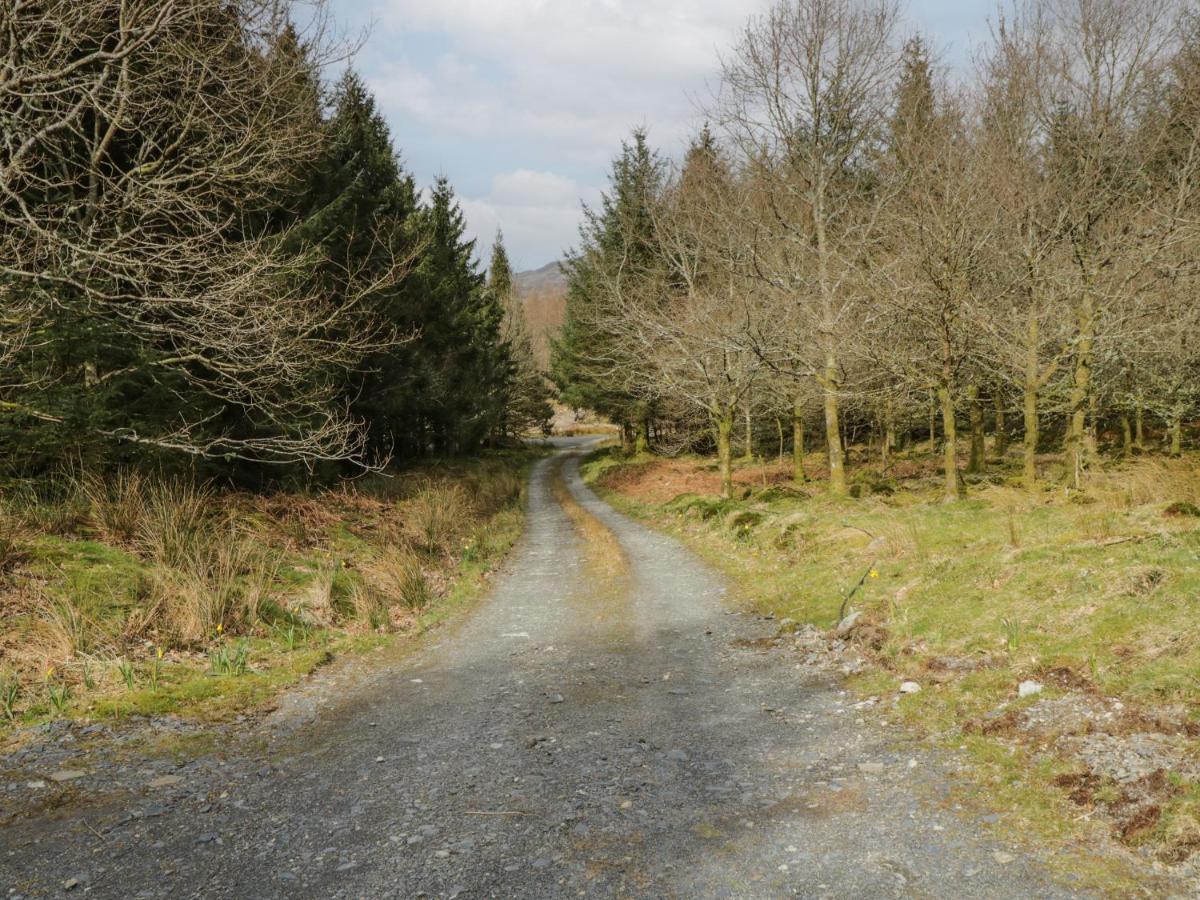 Brithgwm Canol Dolgellau Luaran gambar