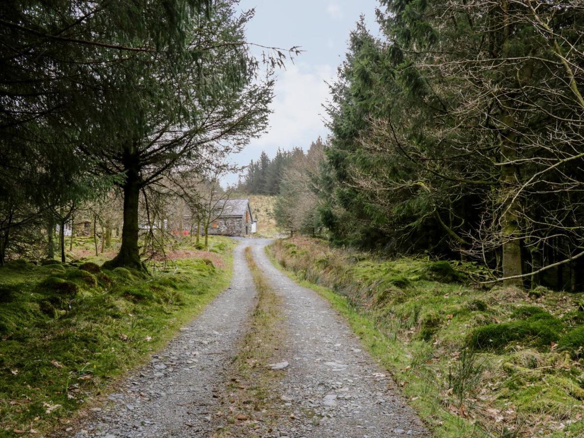 Brithgwm Canol Dolgellau Luaran gambar